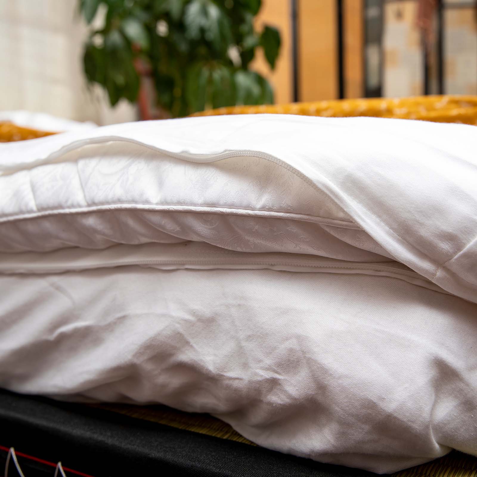 J-Life Tombo Gold #2 Custom Kakefuton with Removable Cover - Image 11